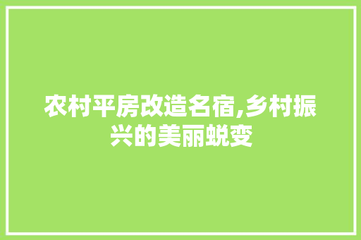 农村平房改造名宿,乡村振兴的美丽蜕变