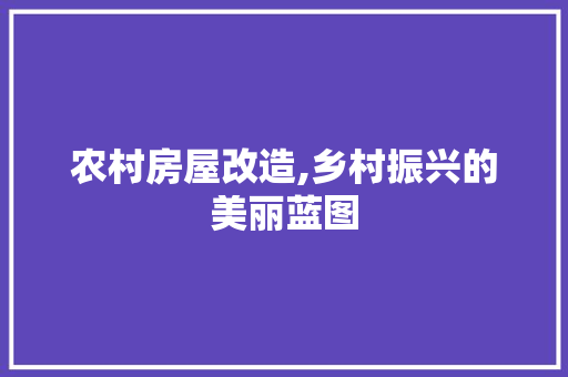 农村房屋改造,乡村振兴的美丽蓝图