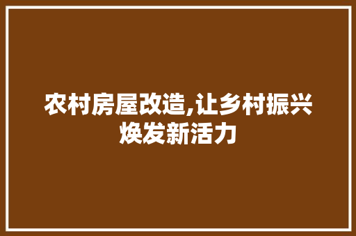 农村房屋改造,让乡村振兴焕发新活力