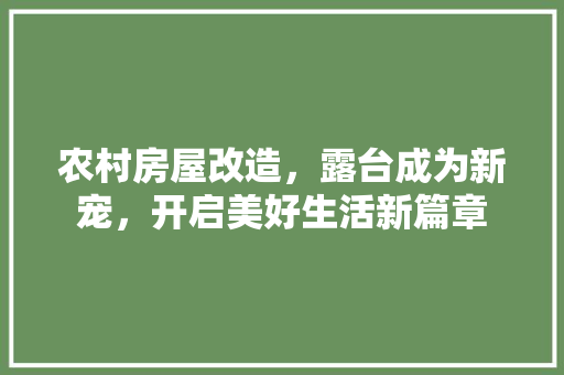 农村房屋改造，露台成为新宠，开启美好生活新篇章