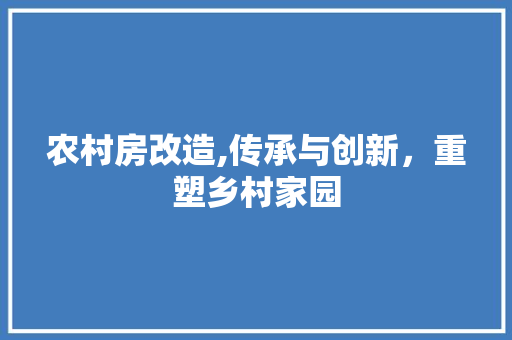 农村房改造,传承与创新，重塑乡村家园