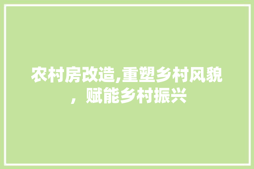 农村房改造,重塑乡村风貌，赋能乡村振兴