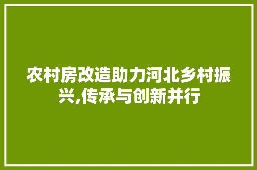 农村房改造助力河北乡村振兴,传承与创新并行