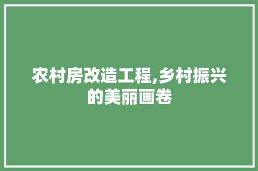 农村房改造工程,乡村振兴的美丽画卷