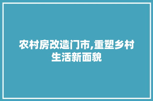 农村房改造门市,重塑乡村生活新面貌