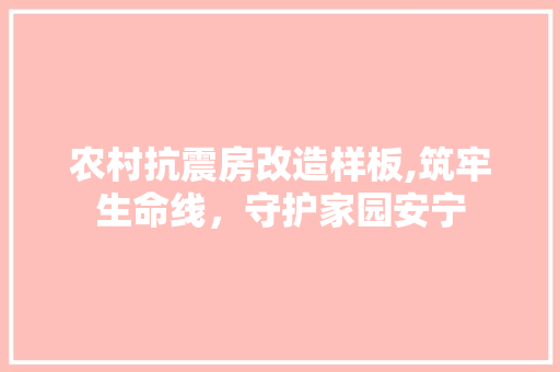 农村抗震房改造样板,筑牢生命线，守护家园安宁