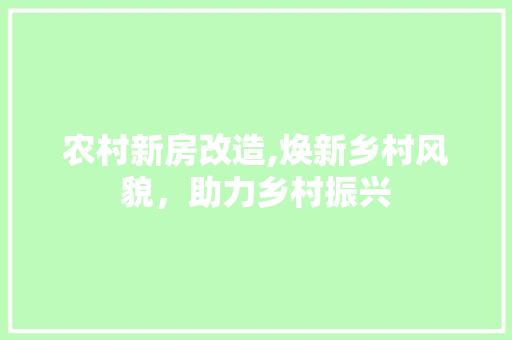 农村新房改造,焕新乡村风貌，助力乡村振兴