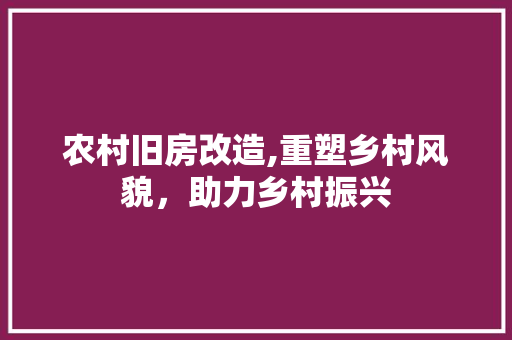 农村旧房改造,重塑乡村风貌，助力乡村振兴