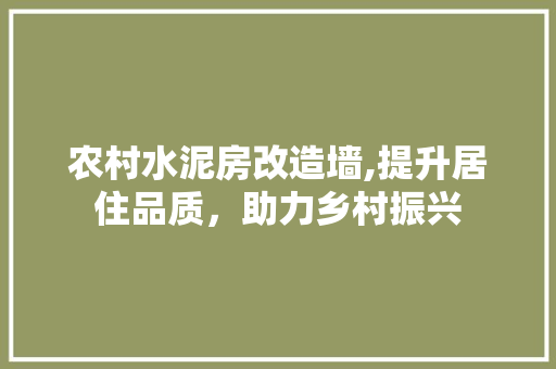 农村水泥房改造墙,提升居住品质，助力乡村振兴