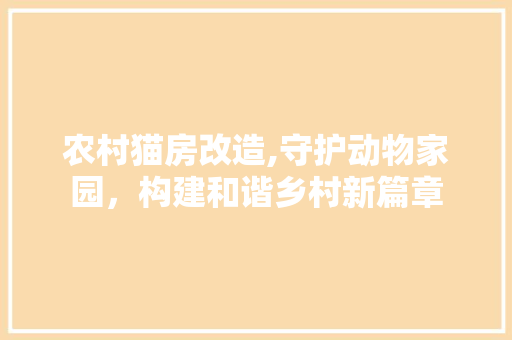 农村猫房改造,守护动物家园，构建和谐乡村新篇章