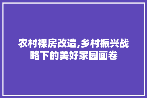 农村裸房改造,乡村振兴战略下的美好家园画卷