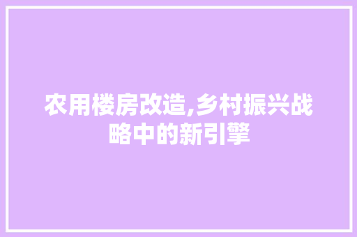 农用楼房改造,乡村振兴战略中的新引擎