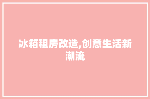 冰箱租房改造,创意生活新潮流