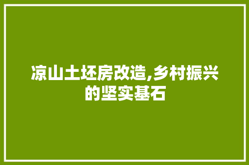 凉山土坯房改造,乡村振兴的坚实基石