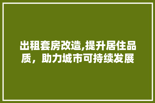 出租套房改造,提升居住品质，助力城市可持续发展