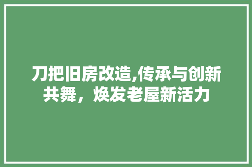 刀把旧房改造,传承与创新共舞，焕发老屋新活力