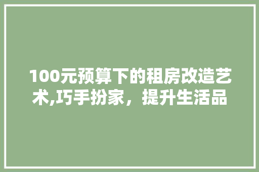 100元预算下的租房改造艺术,巧手扮家，提升生活品质