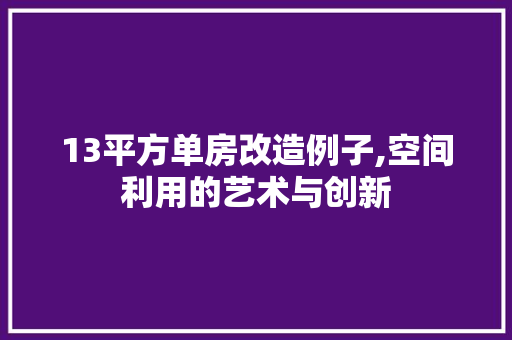 13平方单房改造例子,空间利用的艺术与创新