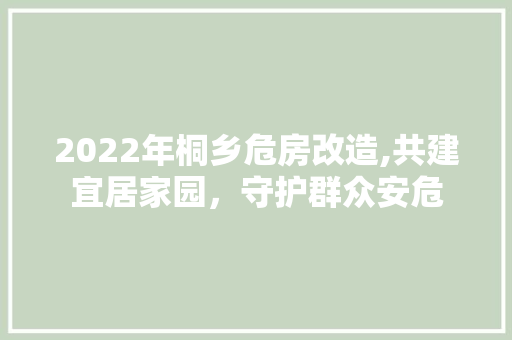 2022年桐乡危房改造,共建宜居家园，守护群众安危