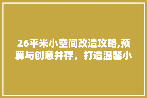 26平米小空间改造攻略,预算与创意并存，打造温馨小窝