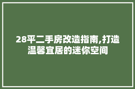 28平二手房改造指南,打造温馨宜居的迷你空间