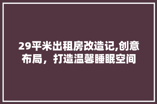 29平米出租房改造记,创意布局，打造温馨睡眠空间