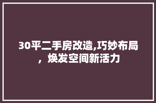 30平二手房改造,巧妙布局，焕发空间新活力