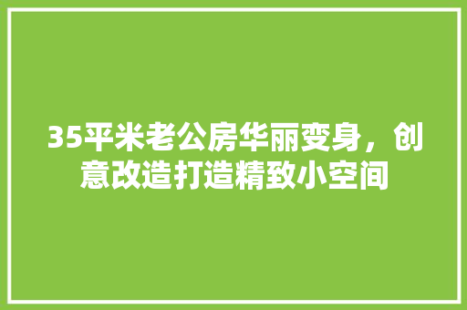 35平米老公房华丽变身，创意改造打造精致小空间