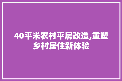 40平米农村平房改造,重塑乡村居住新体验