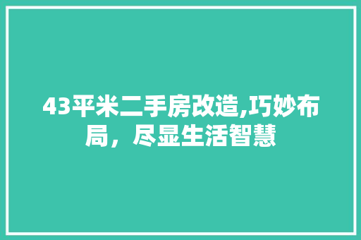 43平米二手房改造,巧妙布局，尽显生活智慧