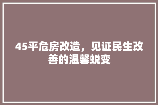 45平危房改造，见证民生改善的温馨蜕变