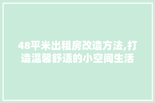 48平米出租房改造方法,打造温馨舒适的小空间生活