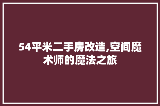 54平米二手房改造,空间魔术师的魔法之旅