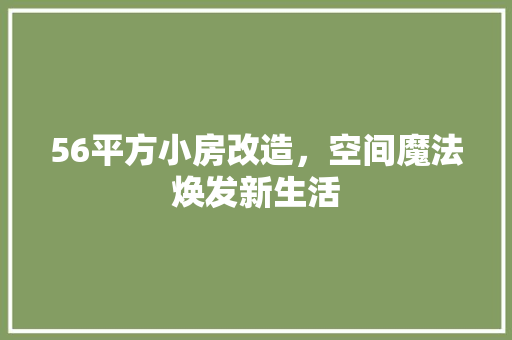 56平方小房改造，空间魔法焕发新生活