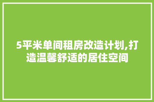 5平米单间租房改造计划,打造温馨舒适的居住空间
