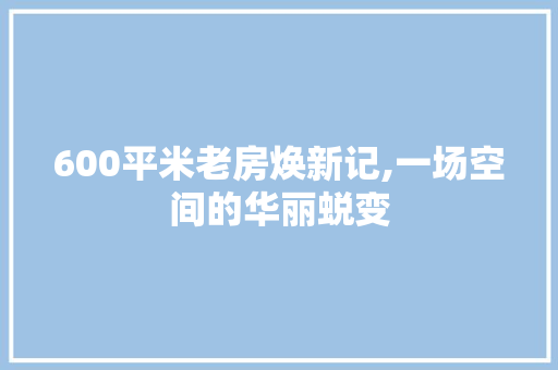 600平米老房焕新记,一场空间的华丽蜕变