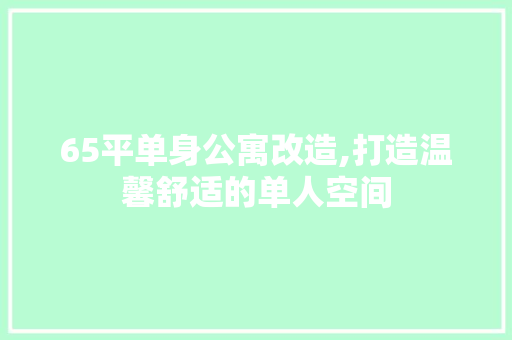 65平单身公寓改造,打造温馨舒适的单人空间
