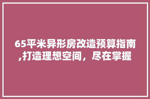 65平米异形房改造预算指南,打造理想空间，尽在掌握