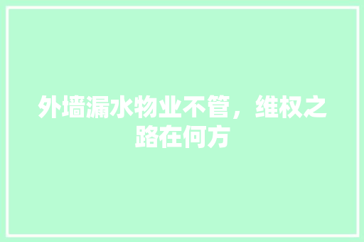 外墙漏水物业不管，维权之路在何方