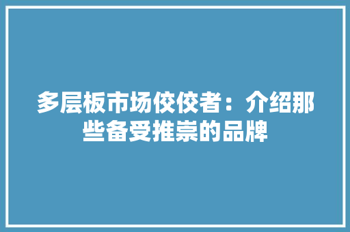 多层板市场佼佼者：介绍那些备受推崇的品牌