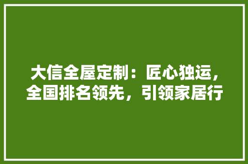 大信全屋定制：匠心独运，全国排名领先，引领家居行业新潮流