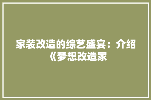 家装改造的综艺盛宴：介绍《梦想改造家