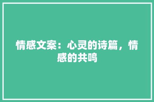 情感文案：心灵的诗篇，情感的共鸣