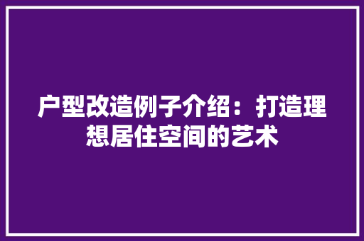 户型改造例子介绍：打造理想居住空间的艺术