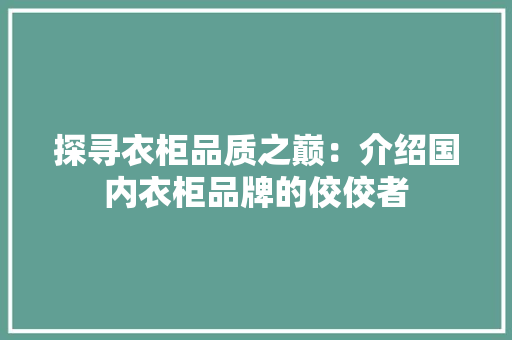 探寻衣柜品质之巅：介绍国内衣柜品牌的佼佼者