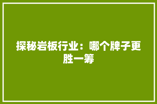 探秘岩板行业：哪个牌子更胜一筹