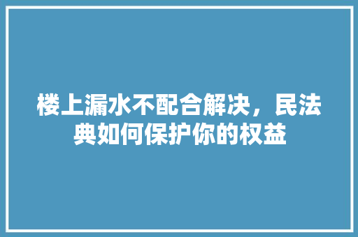 楼上漏水不配合解决，民法典如何保护你的权益