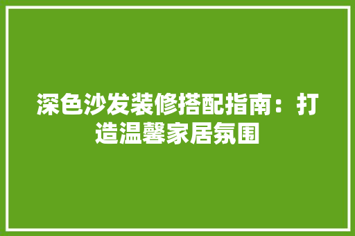 深色沙发装修搭配指南：打造温馨家居氛围