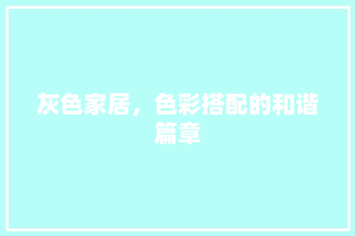 灰色家居，色彩搭配的和谐篇章