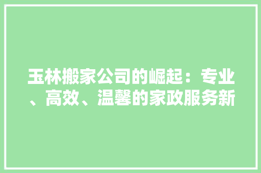 玉林搬家公司的崛起：专业、高效、温馨的家政服务新标杆